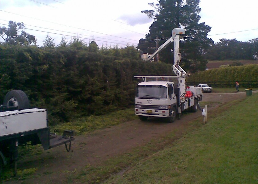 Power line clearing 8