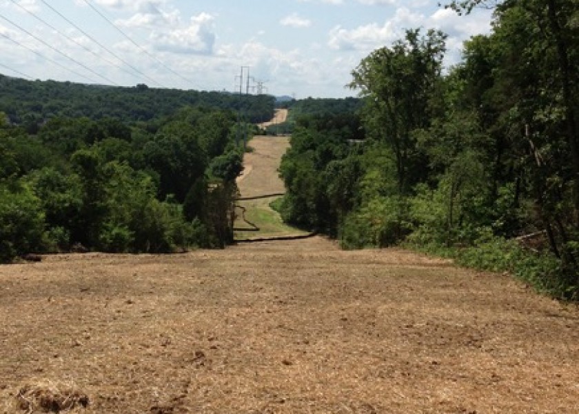 Powerline Clearance 1