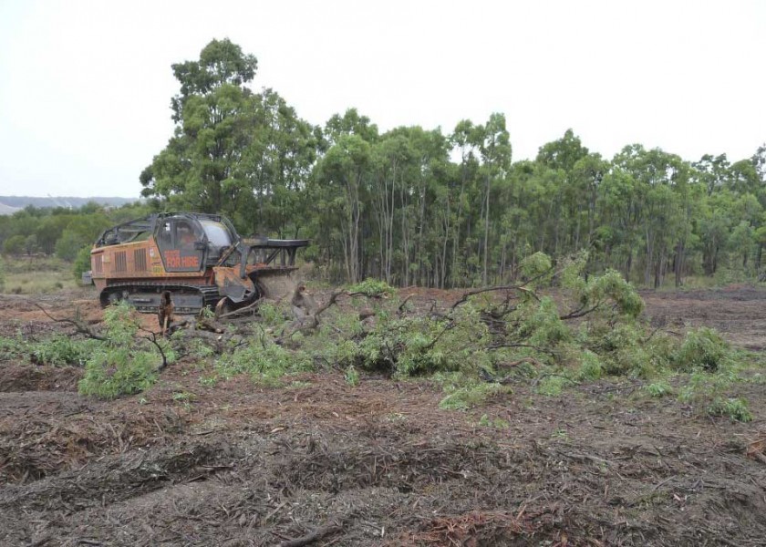 PT 400 HP Tracked Mulcher 3