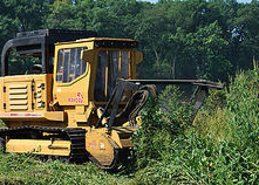 Rayco C260 Forestry Mulcher 1