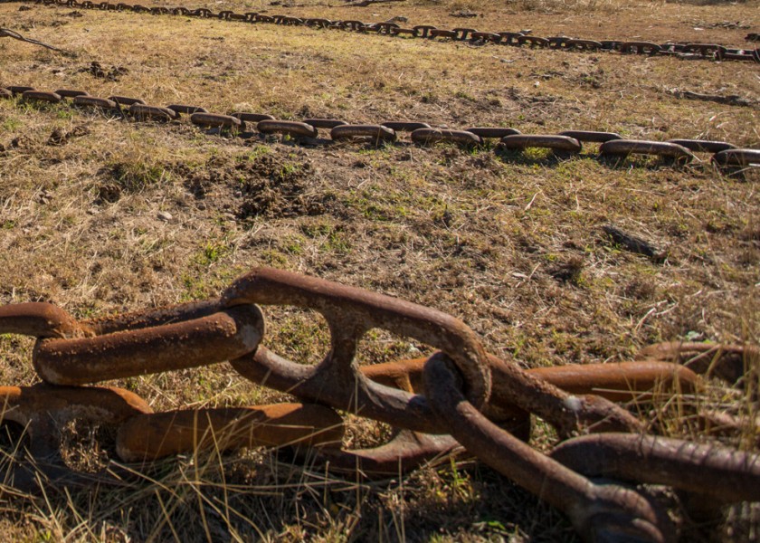 Scrub Chain 300ft 1