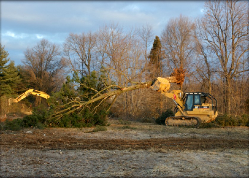 Site Clearing 2