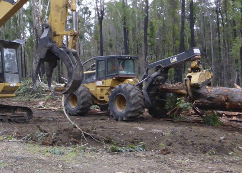 Skidder 1