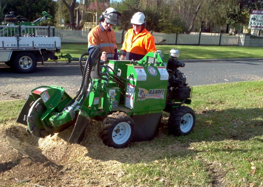 Stump grinding 1