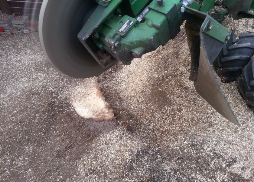 Stump grinding 4
