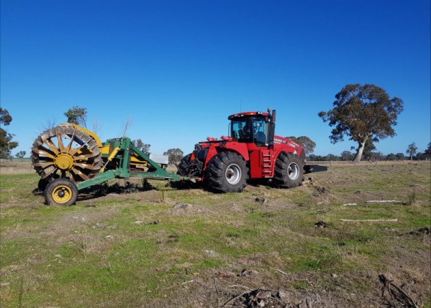 Steiger w/Stump Plucker 1