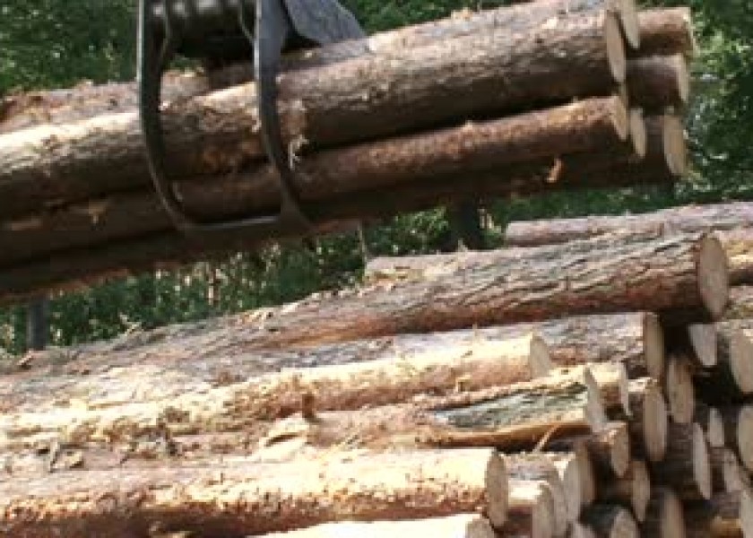 Timber Stacking 2