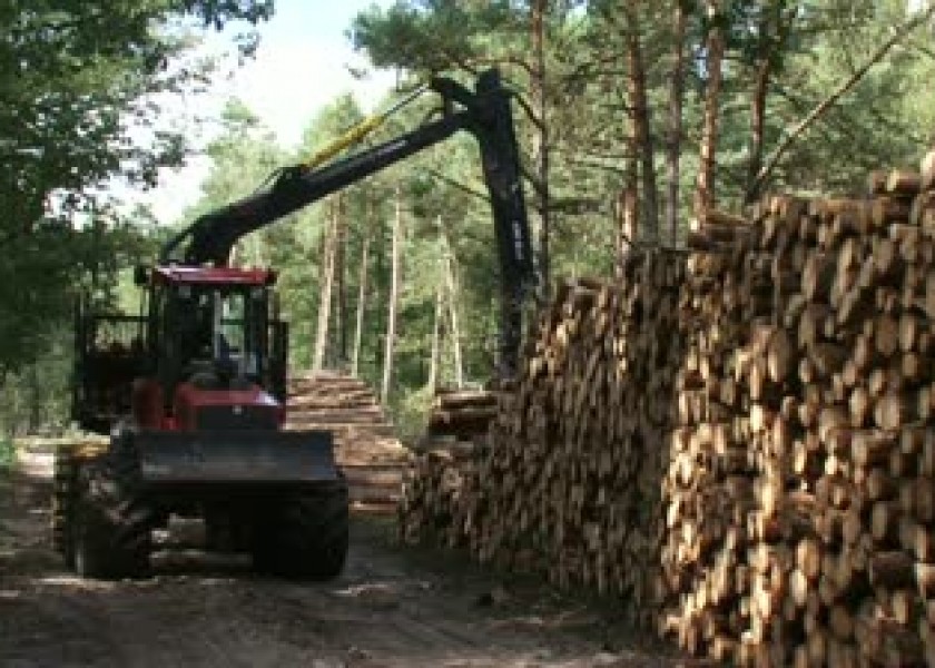 Timber Stacking 3