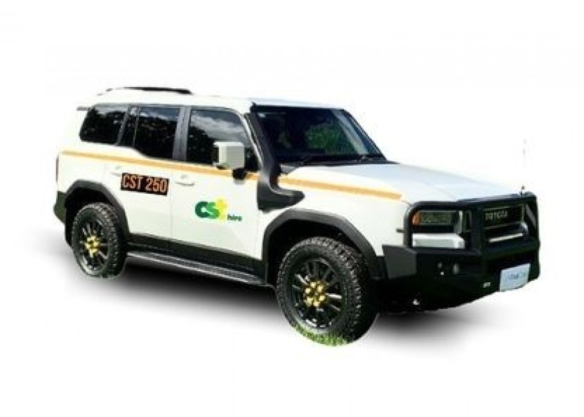 Toyota Prado - 4x4 Wagon 5