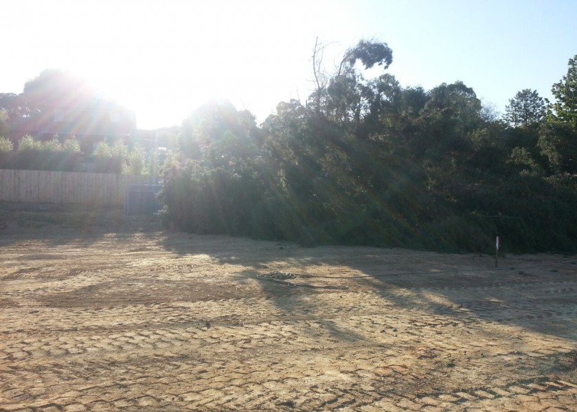 Tree Chipping 3