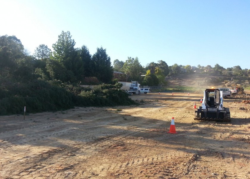 Tree Chipping 4