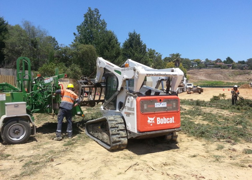 Tree Chipping 5