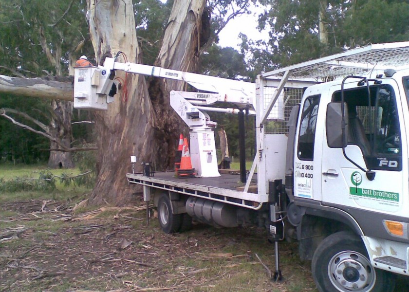 Tree removals and pruning 1