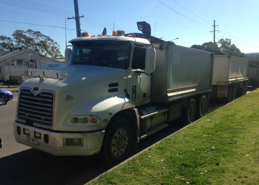 Truck and Dog 1