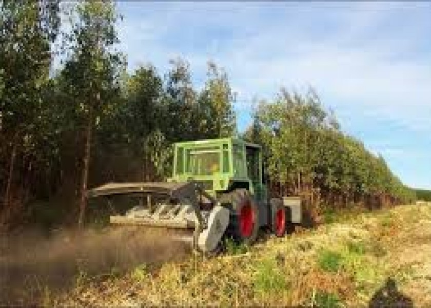 Vegetation Mulching 1