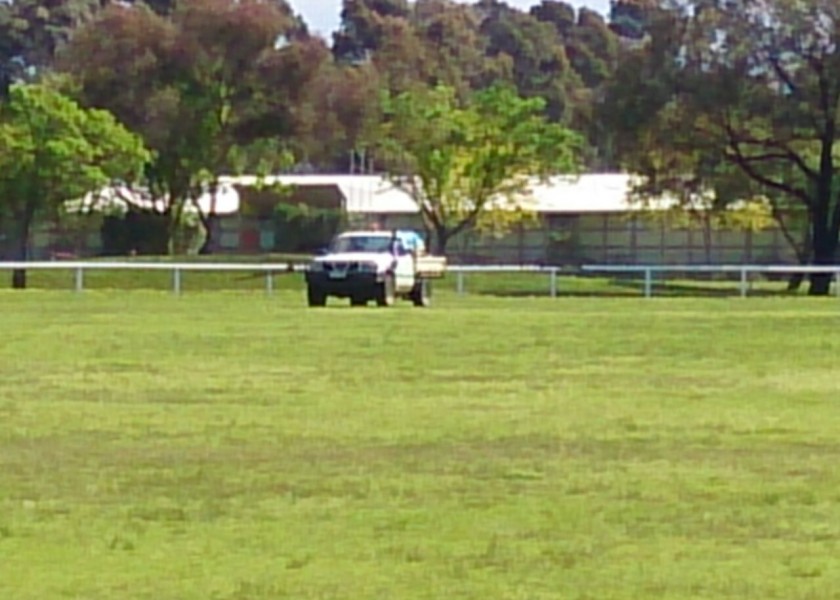 Weed Management 6