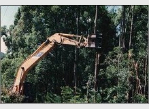 12T Excavator w/Groomer or Tree Grab 3