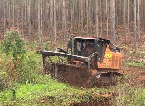 Forestry Mulching 4