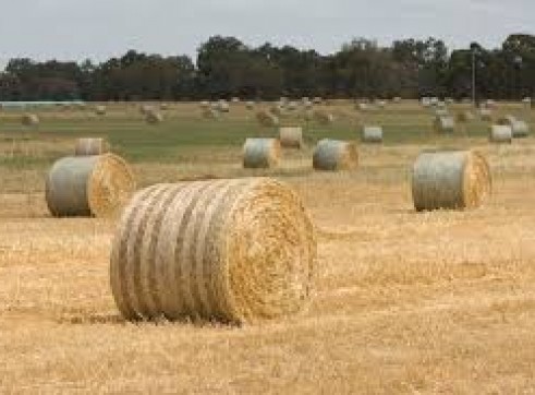 Hay Balers - Square 8x4x3, Round 4x4/4x3 and small square 1