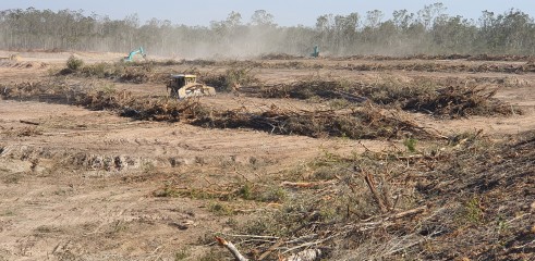 Land Clearing 2