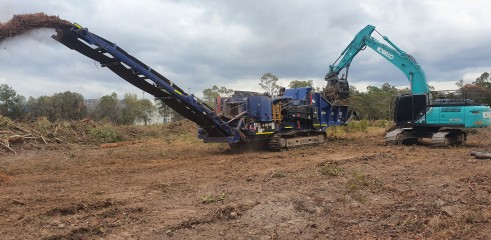 Land Clearing 3