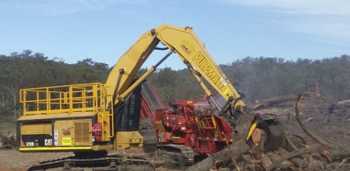 Land Clearing with Tracked Mulcher 1