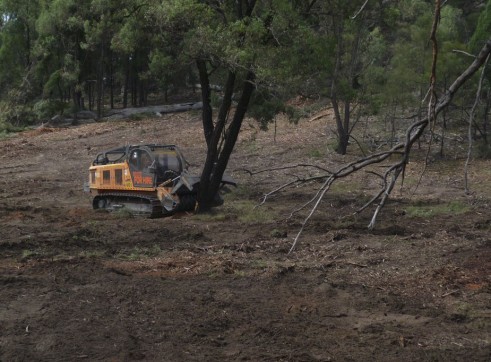 Mulching Ironbark Trees - Land Clearing