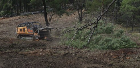 Mulching Ironbark Trees - Land Clearing 3