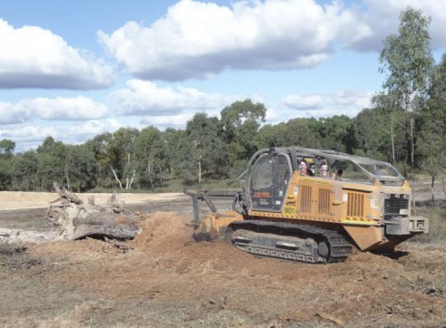 Mulching Large Trees - Land Clearing