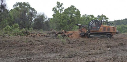 Mulching Tree - Land Clearing 2
