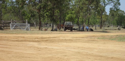 Pad | Cattle Loading Area | Mooney Station 3