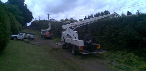 Power line clearing 7