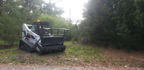 Scrub clearing (forestry mower) 1