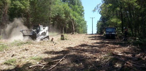 Scrub clearing (forestry mower) 4