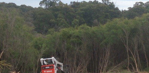 Scrub clearing (forestry mower) 6